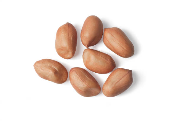istock Close-up of peanut on white background 1415407749