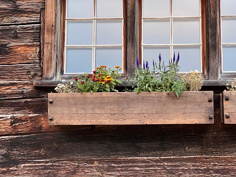 Window with flower box, wooden wall