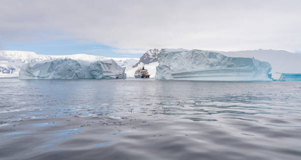 antarctic iceberg landscape at portal point which is located at the entrance to charlotte bay on the reclus peninsula, on the west coast of graham land. - ice cold glacier blue imagens e fotografias de stock