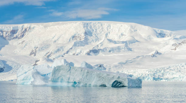 antarctic iceberg landscape at portal point which is located at the entrance to charlotte bay on the reclus peninsula, on the west coast of graham land. - ice cold glacier blue imagens e fotografias de stock