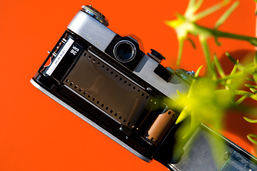 A film of 36 is mounted on the 1976 model analogue camera. Top shot. The background is one color. Gray silver, black color camera.green plant detail.