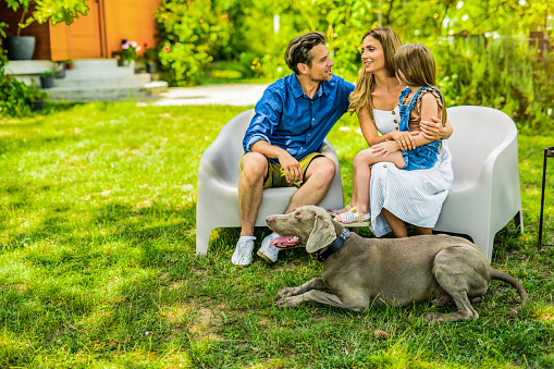 Happy family spending their weekend day in the front yard. They are cuddling with their Weimaraner dog.