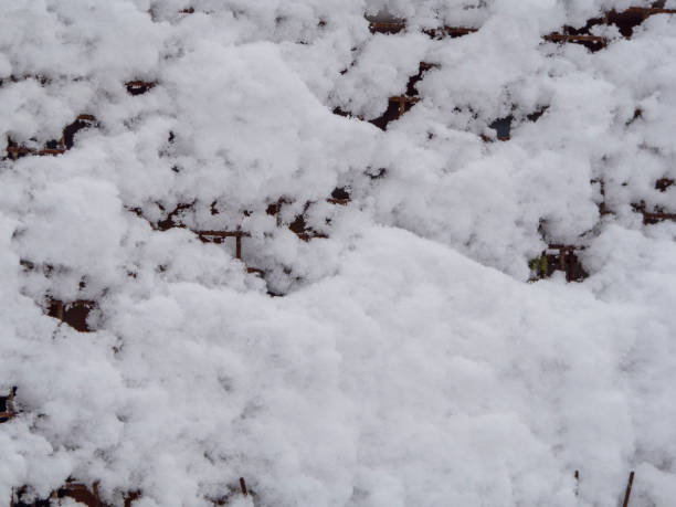 istock Textured surface of white snow stuck on a metal grate 1415417315