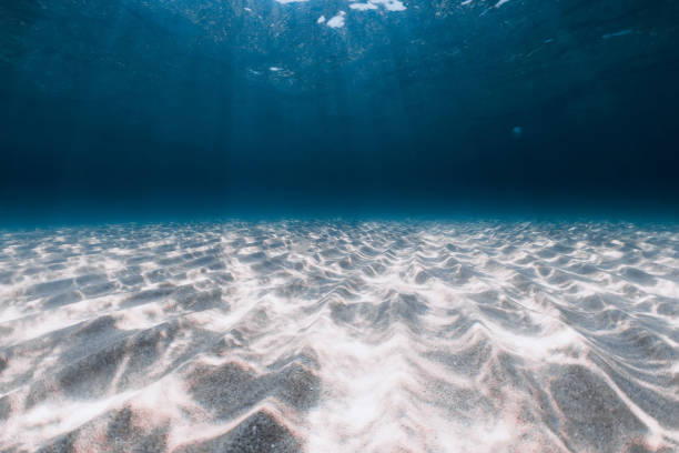 istock Transparent blue ocean with sandy bottom underwater in West Australia 1415417399
