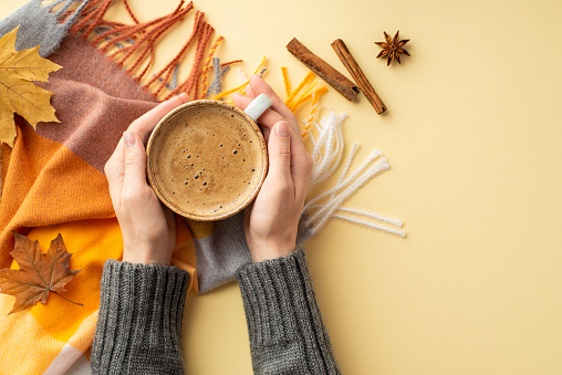 Autumn mood concept. First person top view photo of woman's hands in sweater holding cup of frothy coffee over plaid scarf cinnamon sticks anise and yellow maple leaves on isolated beige background