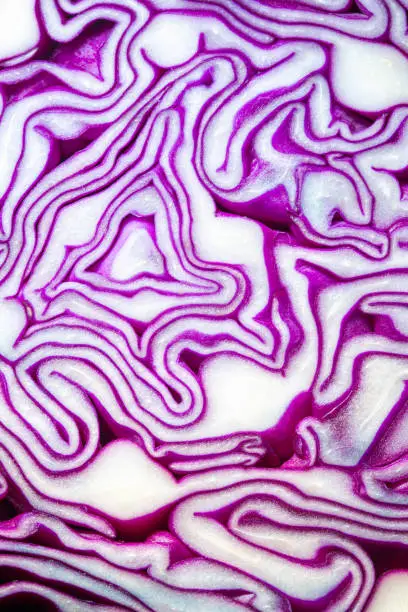 Photo of Macro Purple Cabbage,Macro shot of purple cabbage texture. Food background. Close-up macro view of red cabbage, scotch kale, high resolution. Organic food. View from above. Copy space. Vertical shot.