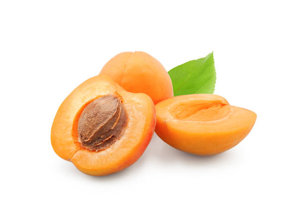 Apricots isolated on white stock photo