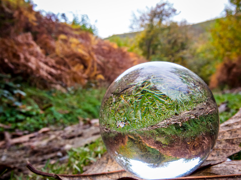 Landscape of a forest in autumn through a glass sphere