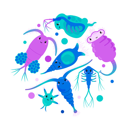 Set of cute zooplanktons, cartoon flat vector illustration isolated on white background. Childish underwater microorganisms, funny plankton animals swimming in freshwater.