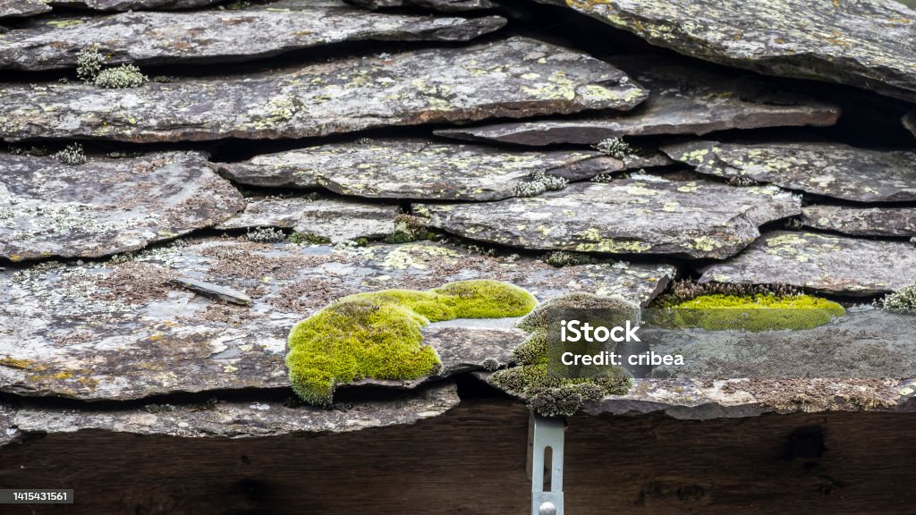roof built with pieces of black slate Green Color Stock Photo