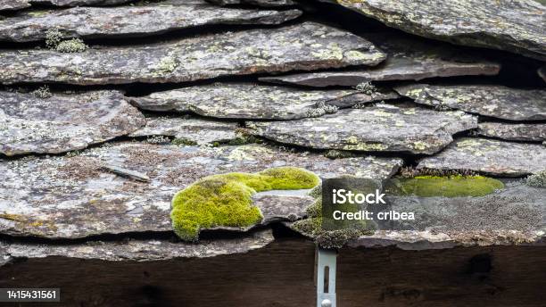Roof Built With Pieces Of Black Slate Stock Photo - Download Image Now - Green Color, Schist, Abstract