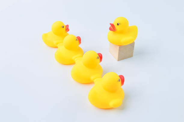 istock Duck leader standing out from the crowd. Business concept. 1415435035