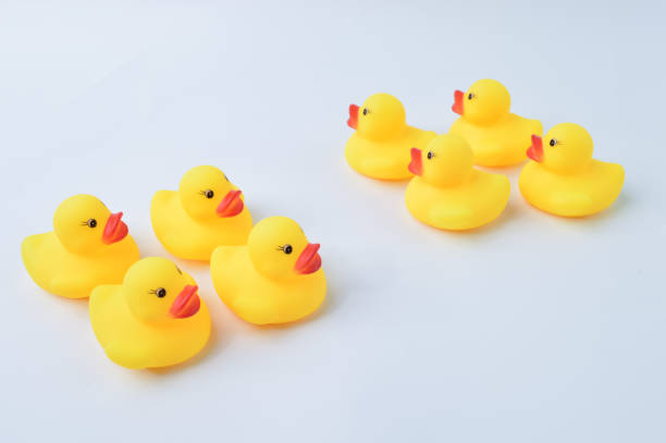 istock Toy ducks heading with different directions. Business innovation, unique and think different concept. 1415435055
