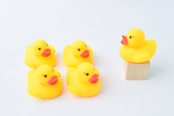 istock Duck leader standing out form the crowd. Business concept. 1415435069