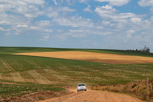 White car on dirt road amid soybean plantations
