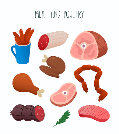 Collection of various kinds of meat commonly sold at a supermarket or at a butcher store. Images for labels for meat department or online store, media and web. Isolated vector image.