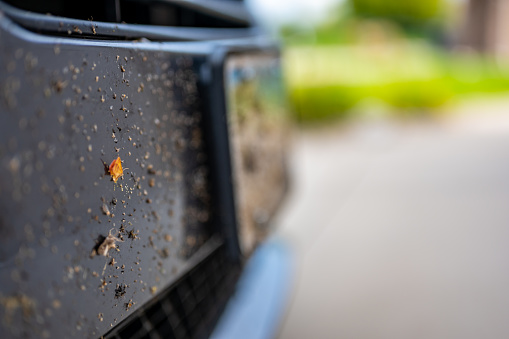 Selective focus on dead bugs splattered to the front grill and plates of a vehicle. High quality photo