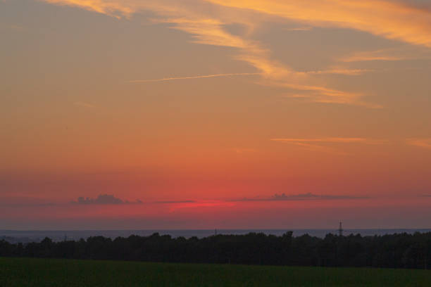 Colorful bright sunset in the field. Beautiful sunset over field.