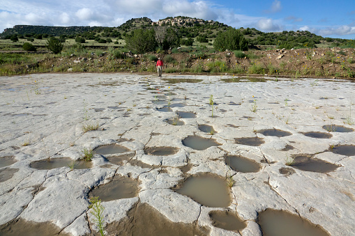 Over 100 new apatosaurus, allosaurus and duck billed dinosaur tracks made during the late Jurassic Period about 150 million years ago were uncovered in 2021 in southeastern Colorado along the Purgatoire River, part of the Picket Wire Canyonlands in the Comanche National Grasslands. The site is the largest dinosaur tracksite in North America.