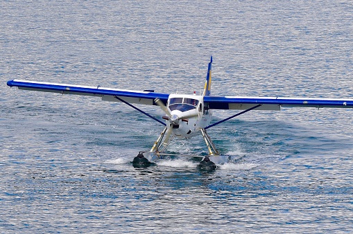 Seaplane makes a landing on a calm Alaskan lake.
