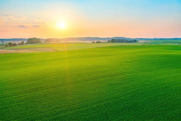 istock Sunset over green meadow idyllic aerial view 1415453776