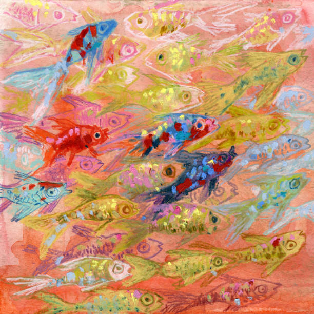 istock Koi carps in water. Koi fish at the surface of the water. 1415458084