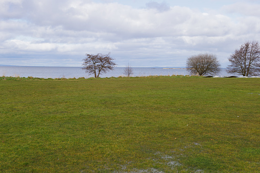 the wet meadow nearby lake against cloudy sky