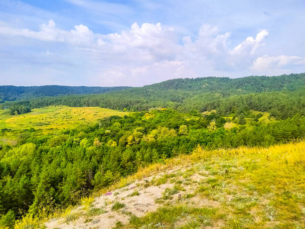 istock Russian summer landscape with blue sky, grass, trees and mountains 1415459014