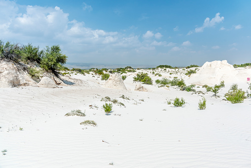 View of the gypsum dunes of  Cuatro Ciénegas in Coahuila, Mexico - White sands - Dunas de yeso