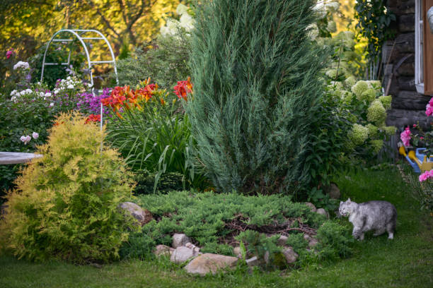 istock beautiful ornamental garden 1415459758
