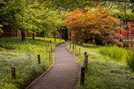Brooklyn, NY, USA - July 23, 2019: Brooklyn Botanic Garden Japanese Garden Pathway