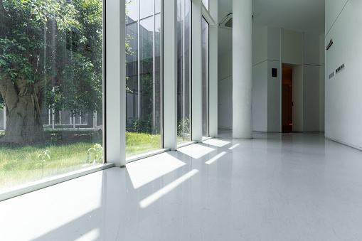 The glass wall of the corridor and the greening outside