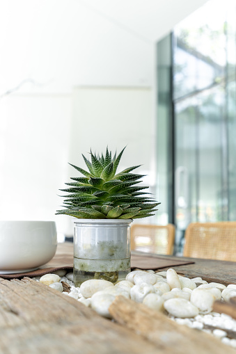 Sand and stone on the wooden table and small pots of succulent plants