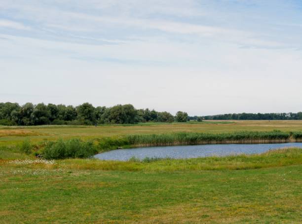istock Elbtalauen im Wendland 1415462404