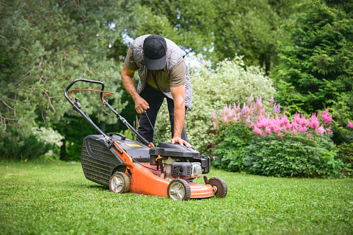 mature adult man mows the grass in the garden with a lawn mower
