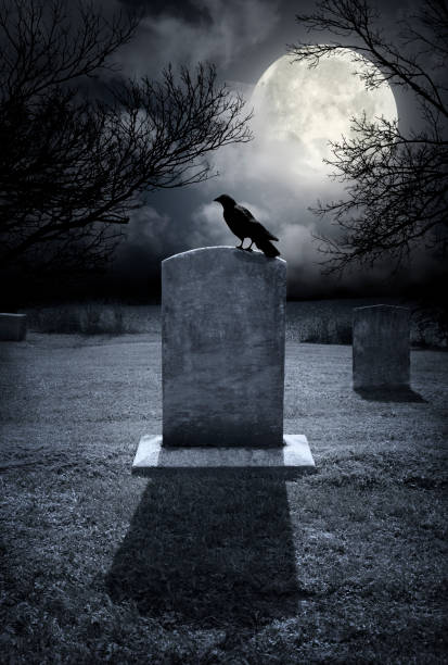 cementerio de halloween spooky - gothic style horror cemetery spooky fotografías e imágenes de stock