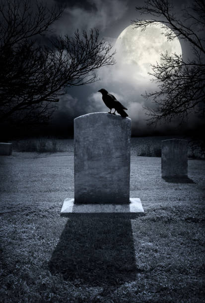 spooky halloween cemetery - cemetery halloween moon spooky imagens e fotografias de stock