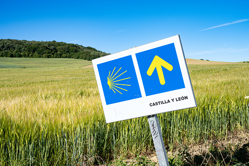 A wheat field and directional sign for Camino de Santiago in northern Spain.