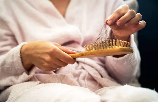 Close up photo of wooden hair brush and long bunch of lost hairs.