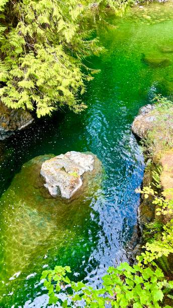 uma bela vista aérea com detalhes sobre o rio fluindo com falésias rochosas e pedregulhos no leito do rio englishman falls park parksville qualicum vancouver island canadá - englishman river falls - fotografias e filmes do acervo