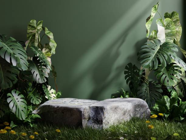 istock Stone platform in tropical forest for product presentation and green wall. 1415491391