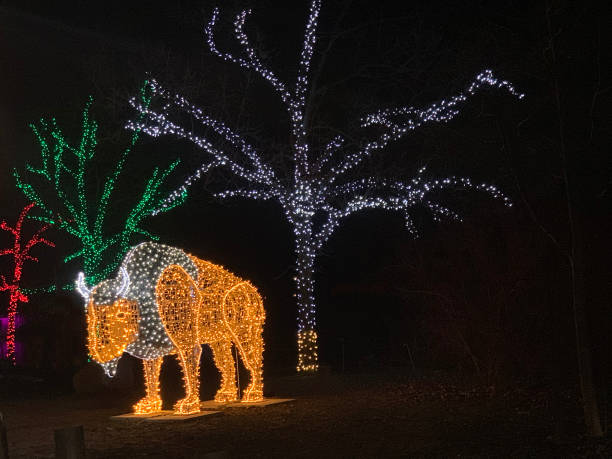 istock Illumination at Niagara park 1415493336