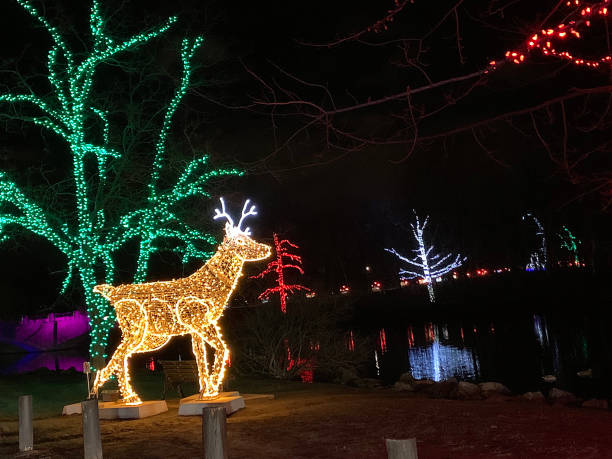 istock Illumination at Niagara park 1415493338