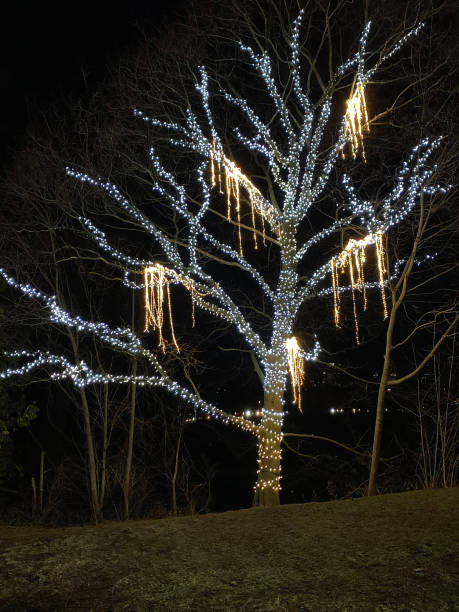 istock Illumination at Niagara park 1415493340