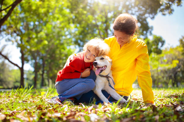 istock Family walking in autumn park. Fall fun. 1415496635