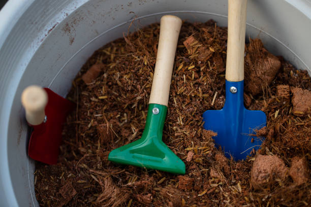istock cute colorful shovels in plant pots 1415500430
