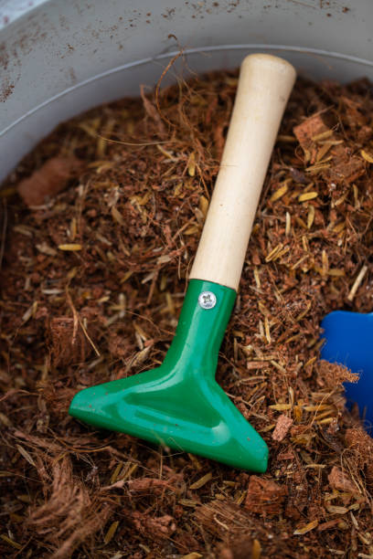 istock cute colorful shovels in plant pots 1415500432