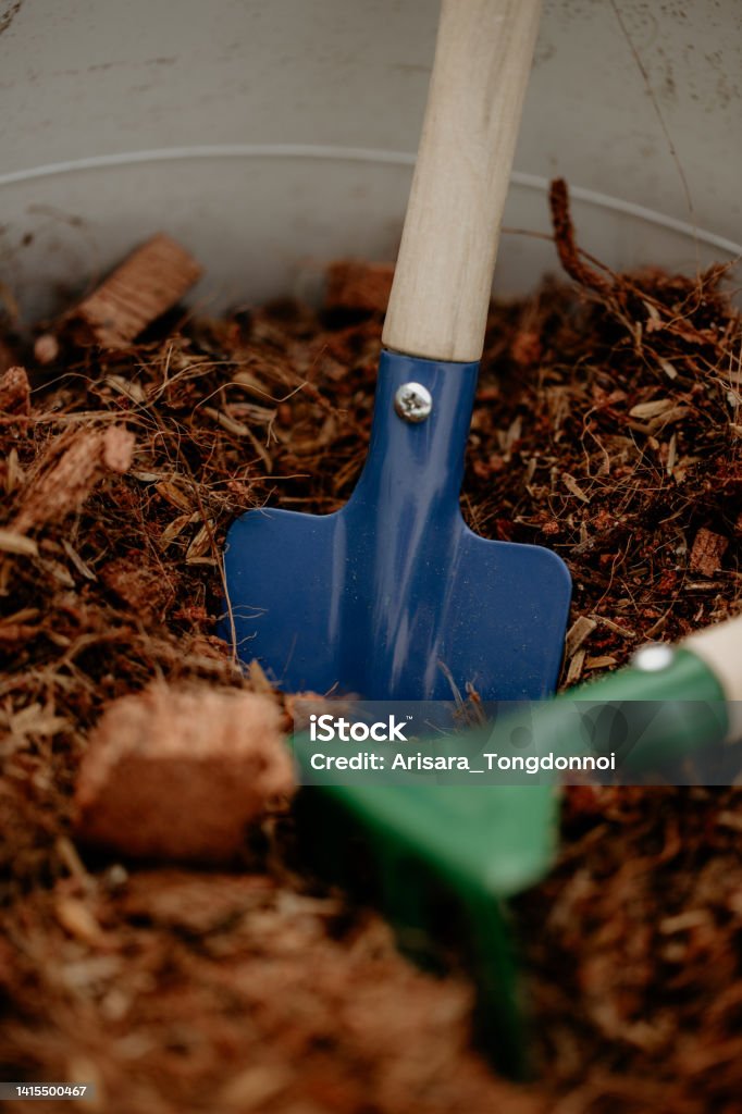 cute colorful shovels in plant pots Agriculture Stock Photo