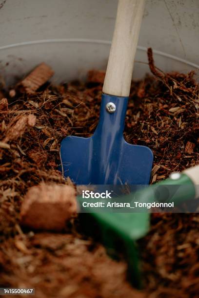 Cute Colorful Shovels In Plant Pots Stock Photo - Download Image Now - Agriculture, Backgrounds, Beginnings