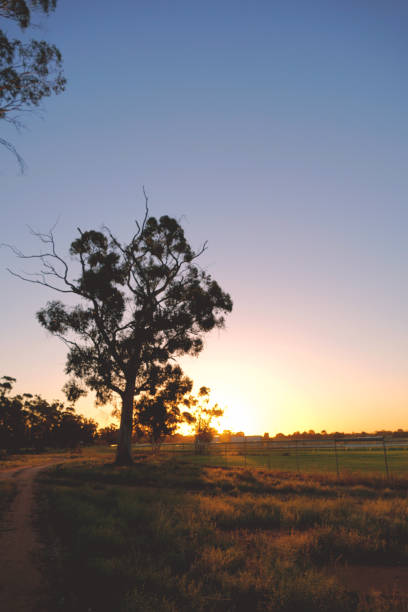 istock Swan Hill, Victoria, Australia 1415508282